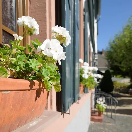 Hotel Krone Martinsthal Eltville am Rhein
