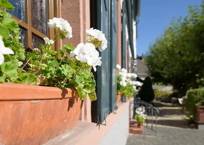 Hotel Krone Martinsthal Eltville am Rhein